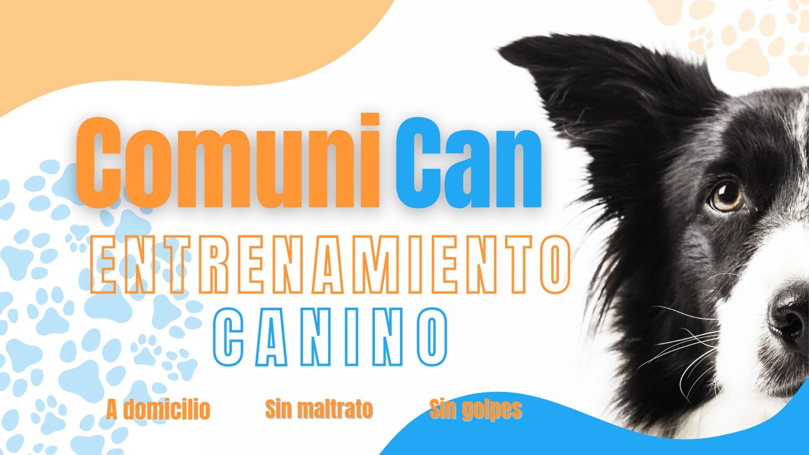 Comuni-Can entrenamiento canino en positivo
